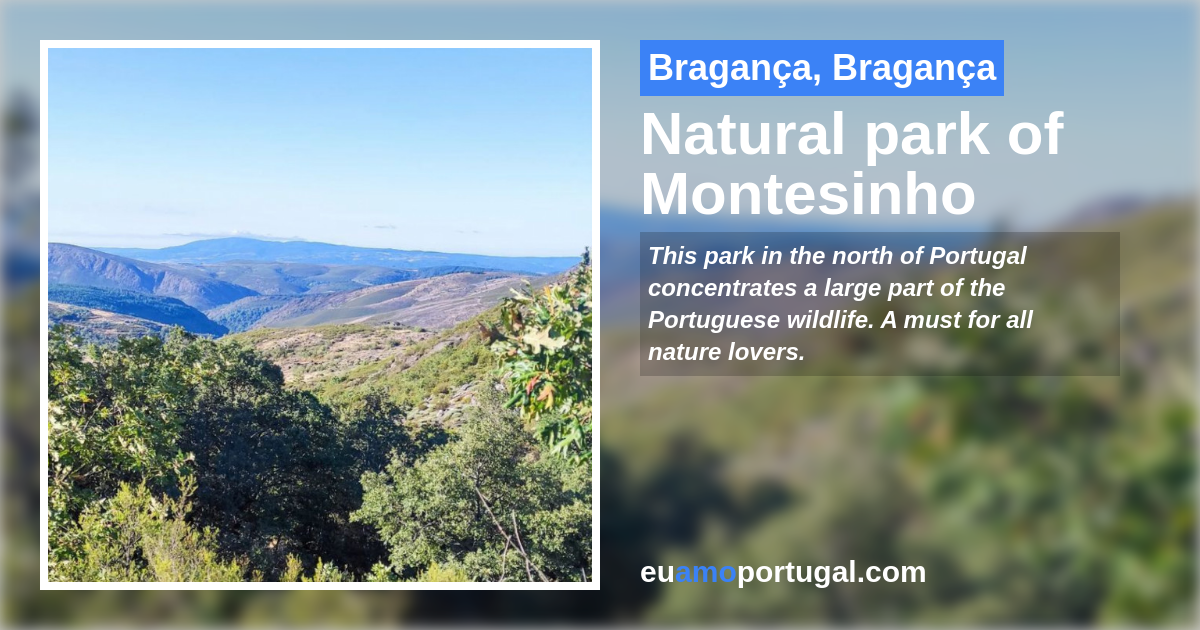 Montesinho Natural Park in Portugal Practical Guide